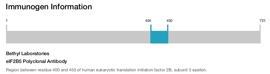 eIF2B5 Polyclonal Antibody