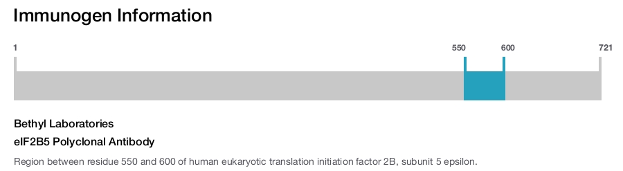 eIF2B5 Polyclonal Antibody