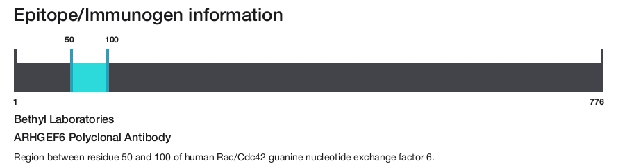 ARHGEF6 Polyclonal Antibody