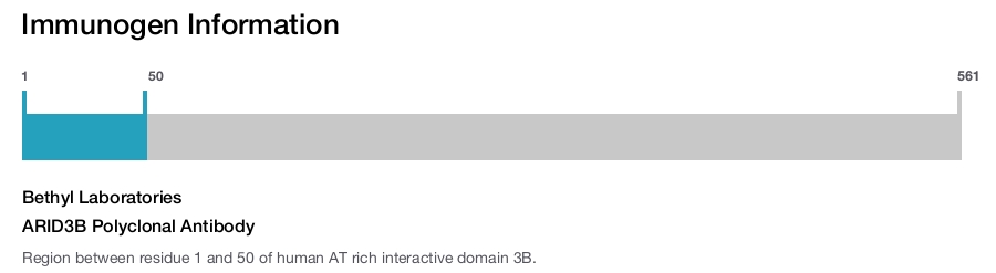 ARID3B Polyclonal Antibody