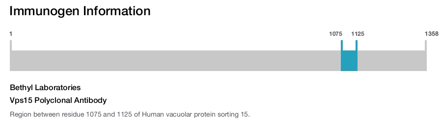 Vps15 Polyclonal Antibody