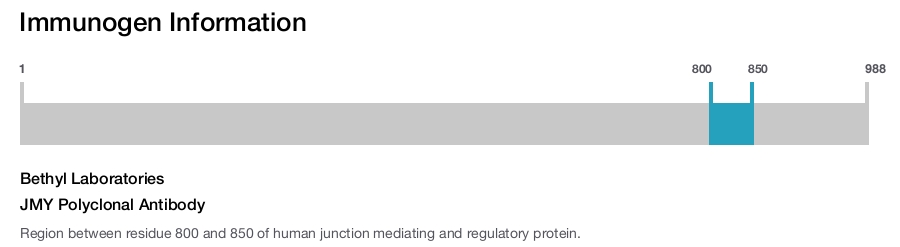 JMY Polyclonal Antibody