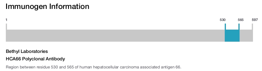 HCA66 Polyclonal Antibody