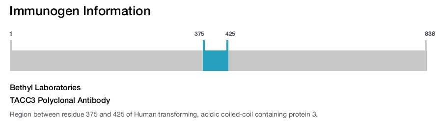 TACC3 Polyclonal Antibody