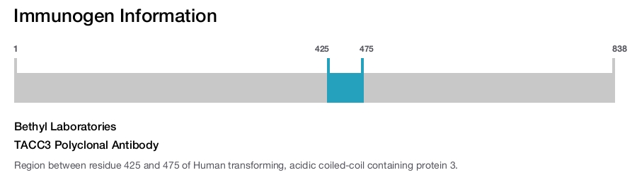 TACC3 Polyclonal Antibody