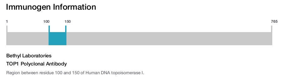 TOP1 Polyclonal Antibody
