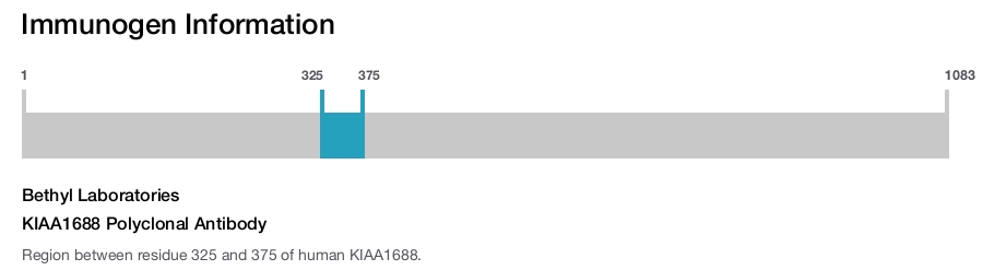 KIAA1688 Polyclonal Antibody