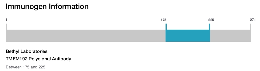 TMEM192 Polyclonal Antibody