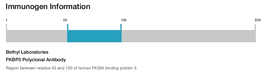 FKBP3 Polyclonal Antibody