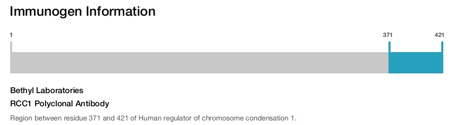 RCC1 Polyclonal Antibody