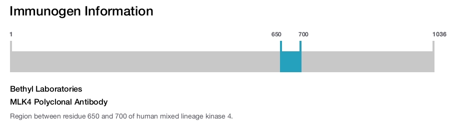 MLK4 Polyclonal Antibody