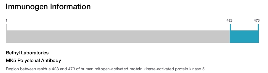 MK5 Polyclonal Antibody
