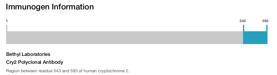 Cry2 Polyclonal Antibody