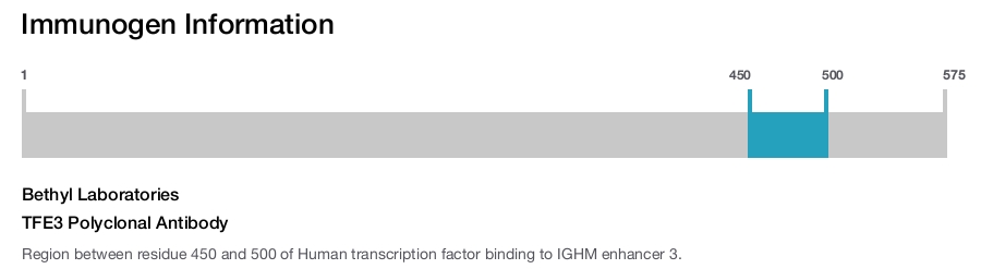 TFE3 Polyclonal Antibody