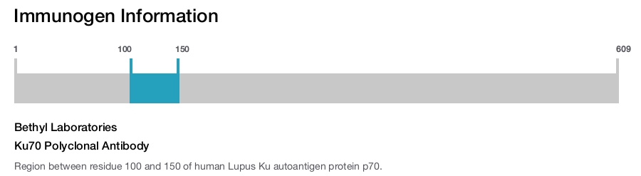 Ku70 Polyclonal Antibody