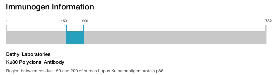 Ku80 Polyclonal Antibody
