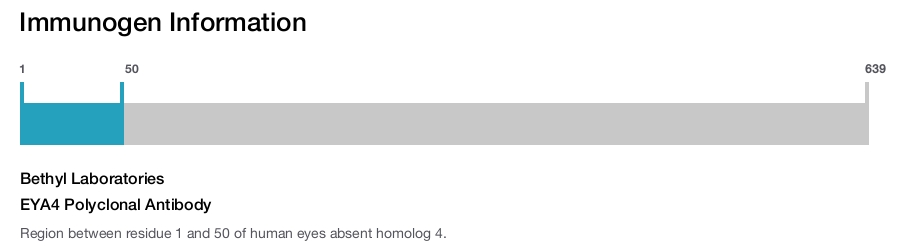 EYA4 Polyclonal Antibody