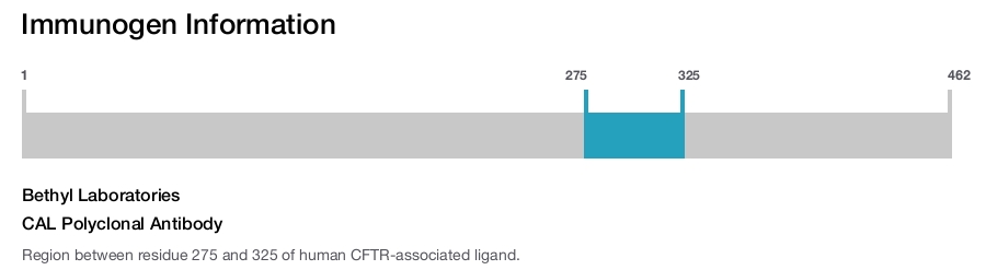 CAL Polyclonal Antibody