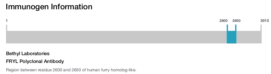 FRYL Polyclonal Antibody