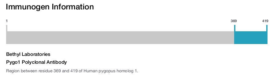 Pygo1 Polyclonal Antibody