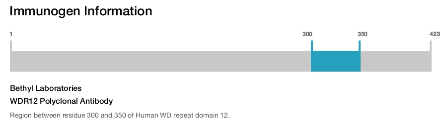 WDR12 Polyclonal Antibody