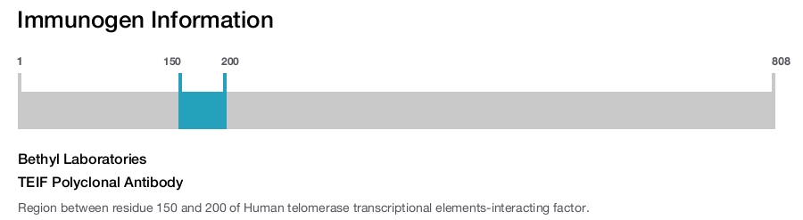 TEIF Polyclonal Antibody