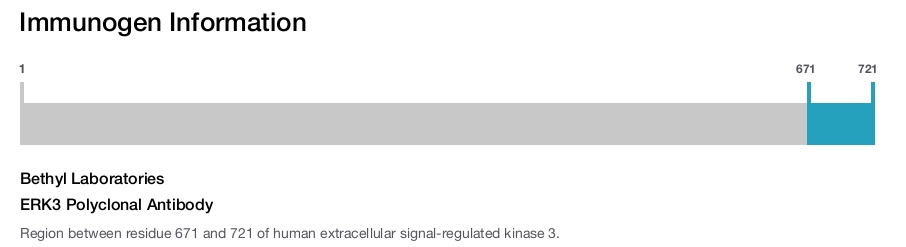 ERK3 Polyclonal Antibody