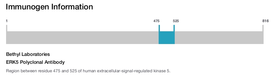 ERK5 Polyclonal Antibody