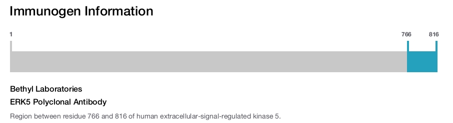 ERK5 Polyclonal Antibody