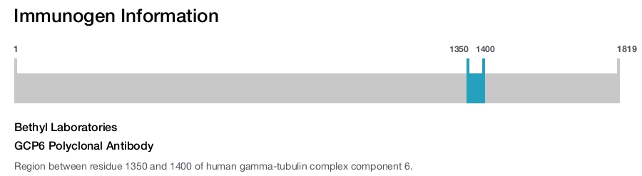 GCP6 Polyclonal Antibody
