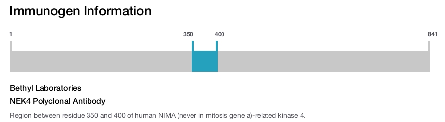 NEK4 Polyclonal Antibody