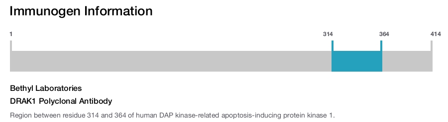 DRAK1 Polyclonal Antibody