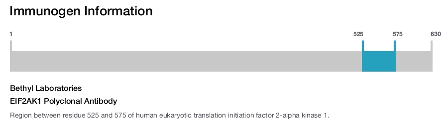 EIF2AK1 Polyclonal Antibody