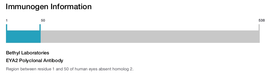 EYA2 Polyclonal Antibody
