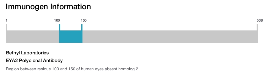 EYA2 Polyclonal Antibody
