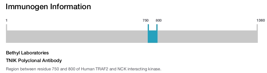 TNIK Polyclonal Antibody