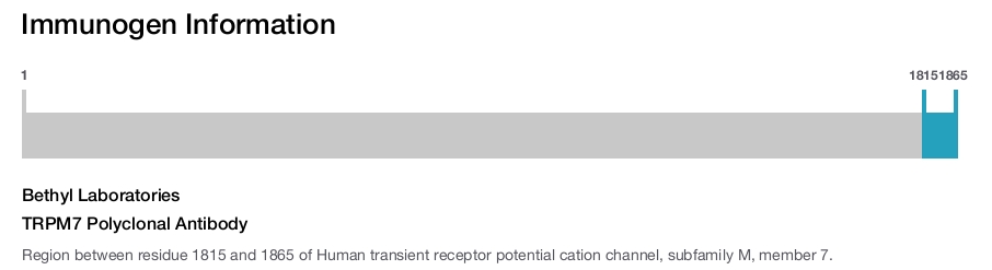 TRPM7 Polyclonal Antibody