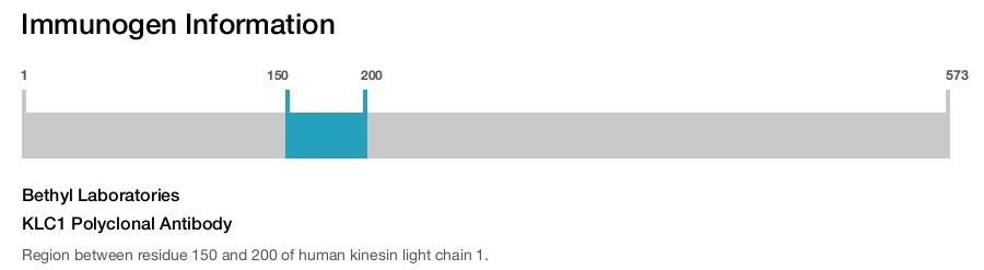 KLC1 Polyclonal Antibody