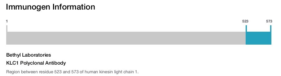 KLC1 Polyclonal Antibody