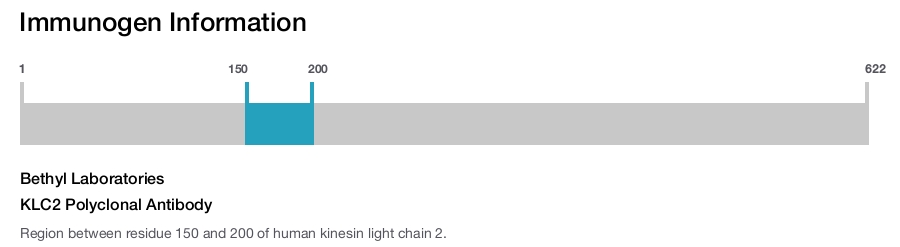 KLC2 Polyclonal Antibody