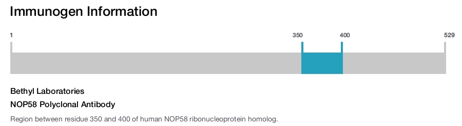 NOP58 Polyclonal Antibody