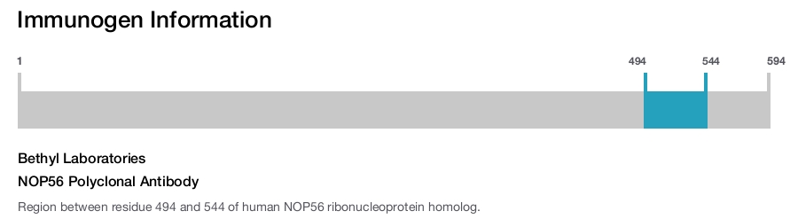 NOP56 Polyclonal Antibody