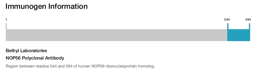 NOP56 Polyclonal Antibody