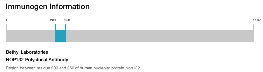 NOP132 Polyclonal Antibody