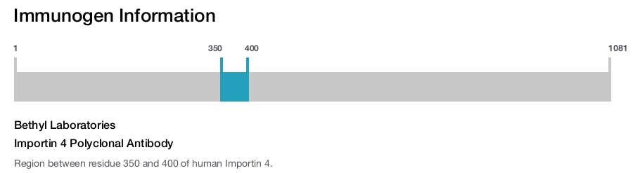 Importin 4 Polyclonal Antibody