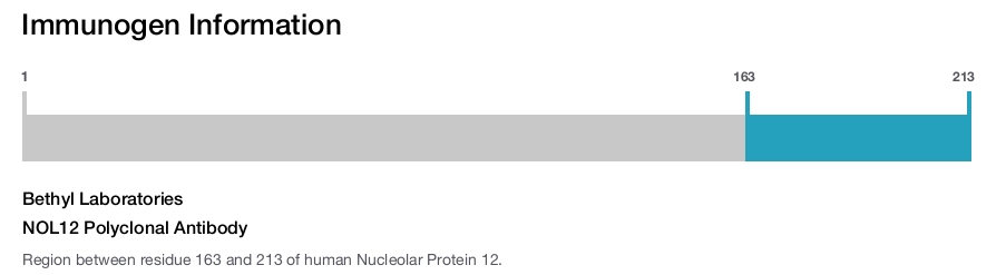 NOL12 Polyclonal Antibody
