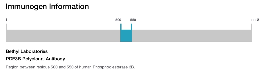 PDE3B Polyclonal Antibody
