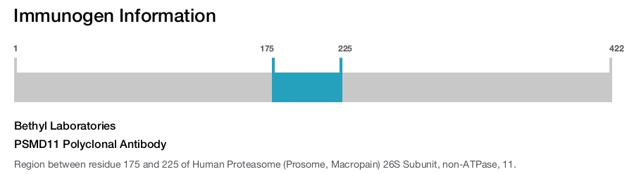 PSMD11 Polyclonal Antibody