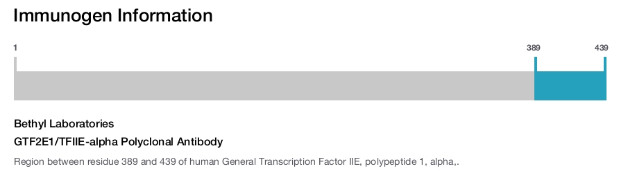 GTF2E1/TFIIE-alpha Polyclonal Antibody