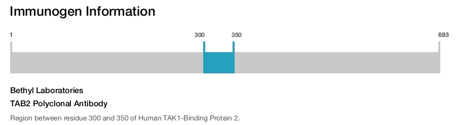 TAB2 Polyclonal Antibody